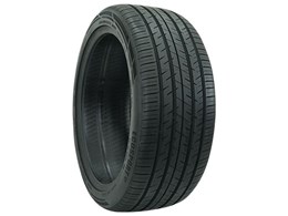 ECOSPORT GT 295/30ZR22 103W XL