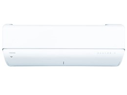吴 RAS-V251DR(W) [zCg]