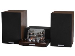 SOUND WARRIOR SWL-T20SET1