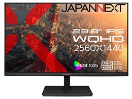 JN-IPS238WQHD2-C65W [23.8C`]