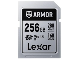 LSDAMSP256G-RNNNG [256GB]