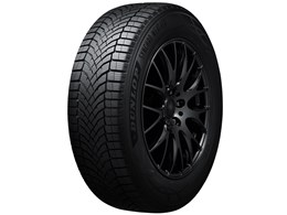 SYNCHRO WEATHER 235/45R21 101V XL