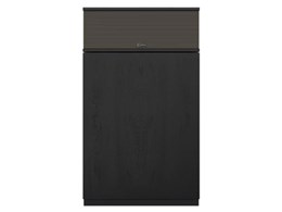 HERITAGE KLIPSCHORN AK7 [BLACK ASH Pi]