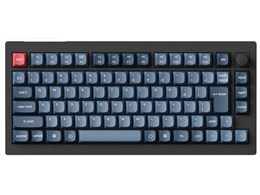 V1M-D1V-JIS Ԏ [J[{ubN]