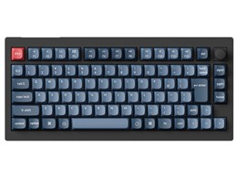 V1M-D3V-JIS  [J[{ubN]