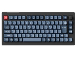 V1M-D4V-JIS oii [J[{ubN]