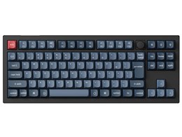 V3M-D4V-JIS oii [J[{ubN]