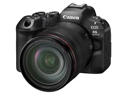 EOS R6 Mark III RF24-105L IS USM YLbg