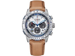 v}X^[ SKY u[CpX胂f CA4661-09A