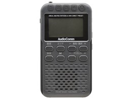 AudioComm RAD-P500N-H [K^O[]