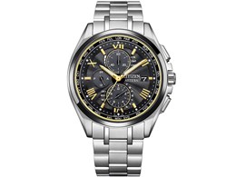 �A�e�b�T KIZASHI Collection ���胂�f�� AT8244-57E