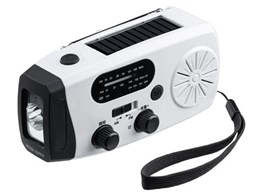 800-LED100 [�z���C�g]