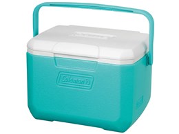 �e�C�N6 2238179 [�~���g]