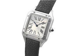 �T���g�X �f������ WSSA0087