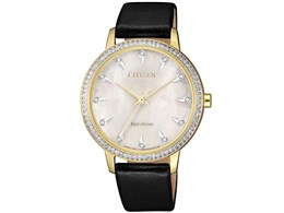 �G�R�E�h���C�u FE7042-07D [�C�O���f��]