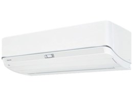 �吴�� RAS-V251DZ(W)