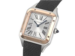 �T���g�X �f������ W2SA0041