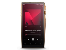 A&ultima SP4000 Copper IRV-AK-SP4000-CP [256GB Copper]