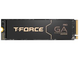 T-FORCE GA PRO TM8FFJ002T0C129