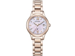 XC hikari �R���N�V���� 30th Anniversary SAKURA limited Model ES9498-77N