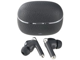 AudioComm HP-W530N [�u���b�N]