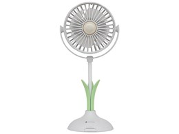 LCAF046-LW [�����[�z���C�g]