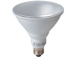 LDR16PLANT-TM [�F��/�ԐF��]