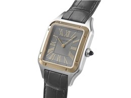 �T���g�X �f������ W2SA0036