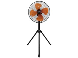 CFF453TPA [�I�����W]