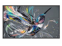 43BDL3511Q/11 [42.5�C���`]