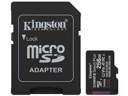 SDCS3/256GB [256GB]