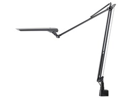 LEDIC EXARM DIVA LEX-996BGY [�u���b�L�[�O���C]