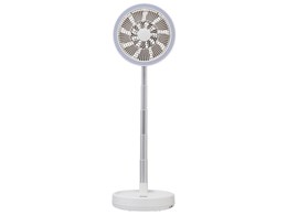LCAF049-LW [�����[�z���C�g]