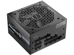 NE1000 PLATINUM ATX 3.1