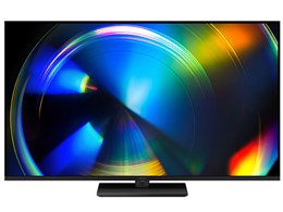 VIERA TV-55W93C [55�C���`]