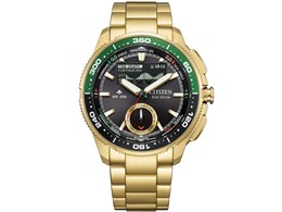 �v���}�X�^�[ MARINE-�G�R�E�h���C�u �R���r�l�[�V�����E�I�b�` Wave Tracker JV3002-51E