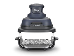 Ninja Crispi FN100JGY [�l�C�r�[]