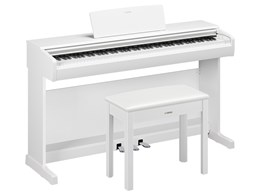 ARIUS YDP-146WH [�z���C�g�E�b�h��]