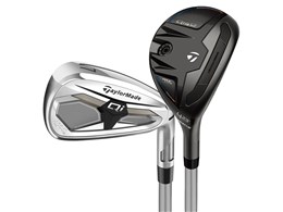 Qi MAX LITE �R���{�Z�b�g ���f�B�[�X 5�{�Z�b�g [REAX 40 �t���b�N�X�FL]