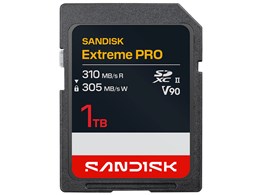 SDSDXDE-1T00-JNJIP [1TB]
