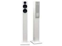 HF-SP250FW [�z���C�g �y�A]
