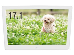LCD-FM17 [17.1�C���`]