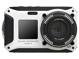 F3DCWP-02