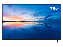 AP75DPXA [75�C���`]