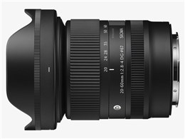 20-60mm F2.8-4 DG [�\�j�[E�p]