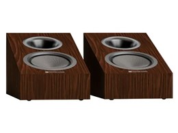 Silver AMS-8G SILVER AMS-8G WN [European Walnut �y�A]