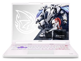 Crosshair-A16-HX-MLG-Edition-E8WGK-2800JP [�X�e���z���C�g]
