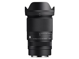 16-300mm F3.5-6.7 DC OS [�j�R��Z�p]