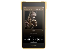 NW-WM1ZM3 [256GB �S�[���h]