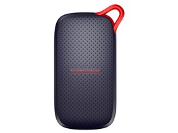 SDSSDE31-500G-J25